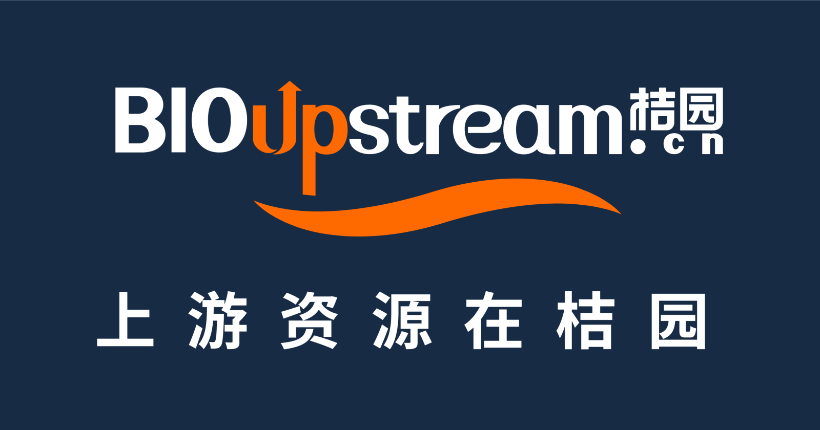 網站